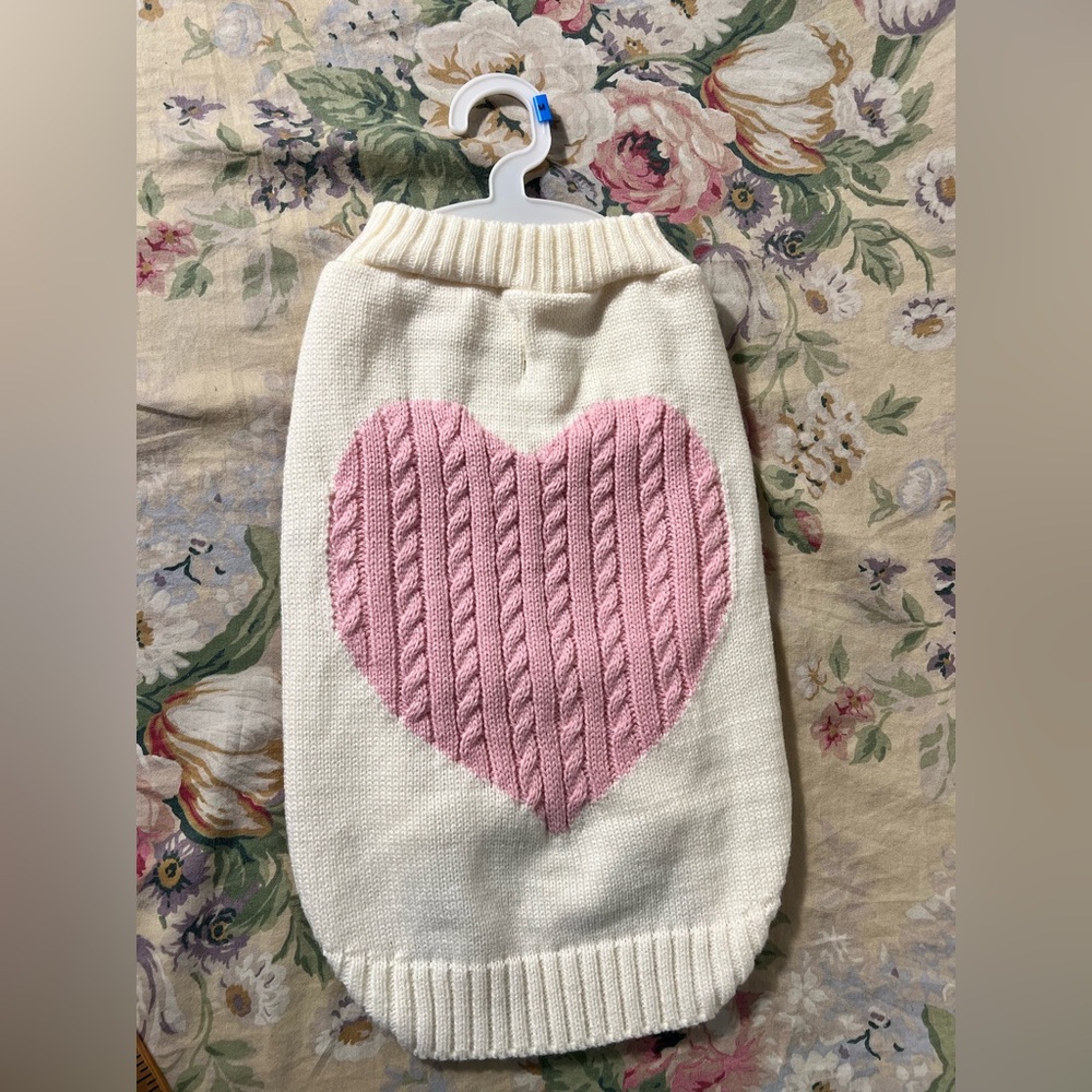 Valentines dog outfit